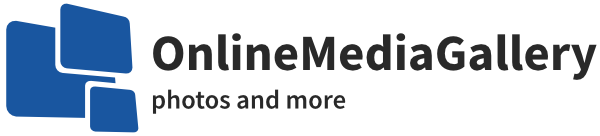 Online Media Gallery